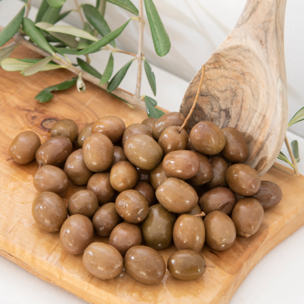 Oliven Termite di Bitetto